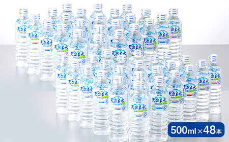 6回定期便【ブルボン】山形県 天然名水 出羽三山の水 500ml×48本 F2Y-5542
