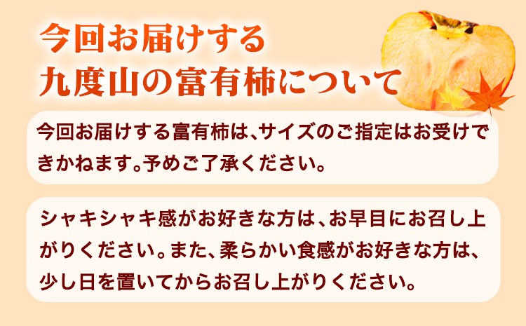 【先行予約】柿 の名産地 九度山の 富有柿 約 7.5kgサイズおまかせ 厳選館 《11月上旬-12月下旬より出荷予定》 和歌山県 日高川町 柿 カキ かき ジューシー フルーツ(F)