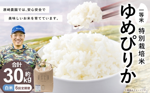 F024 6ヶ月定期便 一等米・特別栽培米 30kg【ゆめぴりか白米】5kg×6ヶ月（農薬7割減）北海道 鷹栖町 原崎農園 【2026年10月下旬頃発送開始予定】