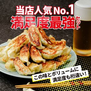 餃子 おトク餃子 大容量 100個セット