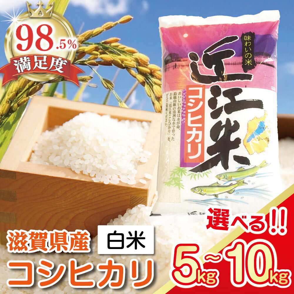 【ふるさと納税】【令和7年産】近江米 こしひかり コシヒカリ 5キロ / 10キロ 選べる 国産 滋賀県産 白米 精米 お米 とらわか
