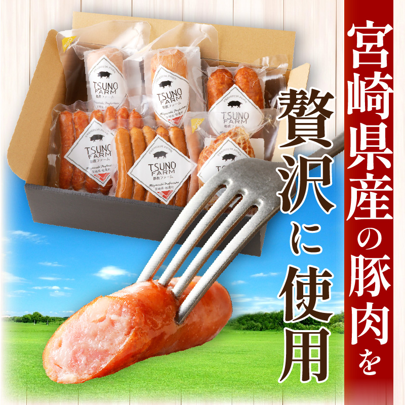 都農ファーム厳選「ウインナー・ハム6点セット」合計860g_T020-001【肉 豚 豚肉 おかず 国産 人気 ギフト 食品 お肉 加工品 惣菜 お土産 贈り物 送料無料 プレゼント】