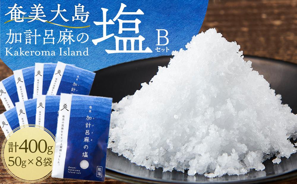 【ミネラル豊富な100％粗塩】奄美大島 加計呂麻の塩 計400g（50g×8袋） Bセット