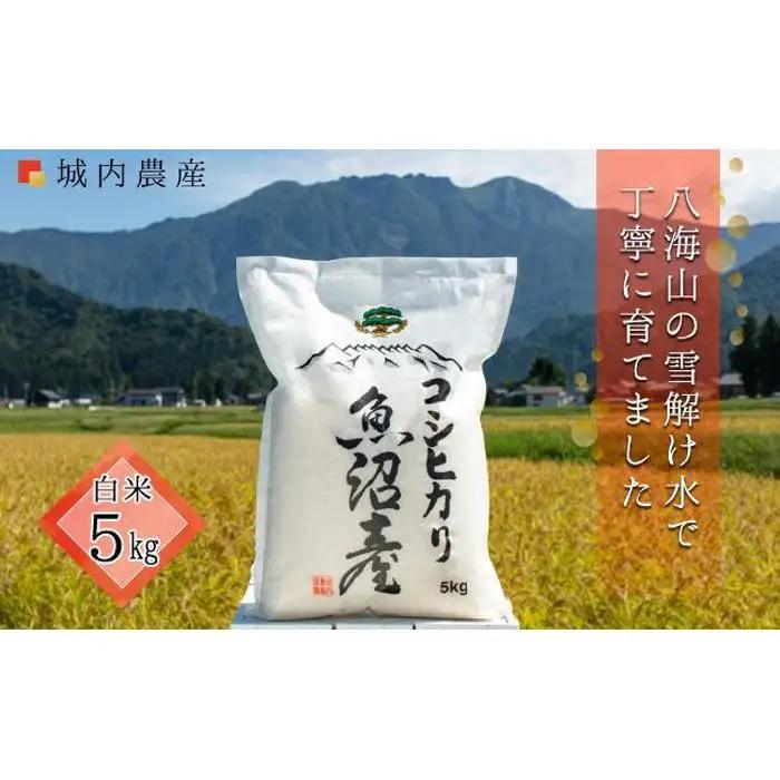 【令和８年新米予約】 南魚沼産コシヒカリ　白米５ｋｇ【５割減農薬栽培米】 城内農産 | 米 【2026年9月下旬から1ヶ月以内に順次発送予定】