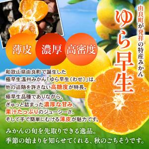 和歌山県産 ゆら早生みかん サイズおまかせ9kg  農家直送【2025年10月中旬頃より順次発送予定】
