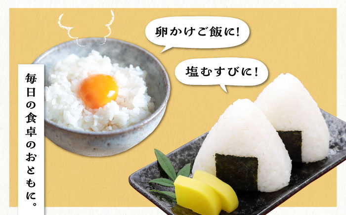 【令和7年産新米】 糸島産 夢つくし 10kg 糸島市 / 三島商店 [AIM002] 米 白米