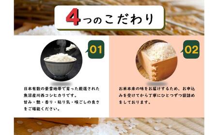 令和8年産　先行予約　【数量限定】 従来品種 魚沼産コシヒカリ 5kg×2 〈令和8年10月下旬～発送予定〉