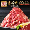 【ふるさと納税】小分けで便利 数量限定 4等級以上 宮崎牛 切り落とし 牛肉 計1.2kg 黒毛和牛 ビーフ ブランド牛 国産 食品 おかず すき焼き 牛丼 カレー シチュー 焼肉 お弁当 おつまみ ご褒美 お祝い 記念日 小分け おすすめ おすそ分け お取り寄せ 宮崎県 日南市 送料無料