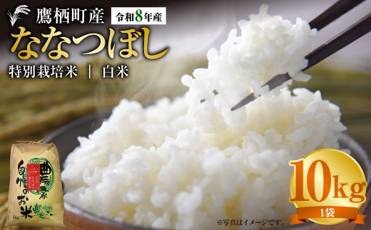 【令和8年産】ななつぼし（精白米）約10kg 北海道 鷹栖町 たかすタロファーム 【2026年9月下旬頃発送開始予定】  お米 米 こめ コメ 白米 白飯 飯 ご飯 おにぎり ブランド米 ブランド