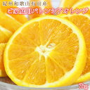 【ふるさと納税】【ご家庭用訳あり】希少な国産バレンシアオレンジ 7kg ※2025年6月下旬〜7月上旬頃に順次発送予定