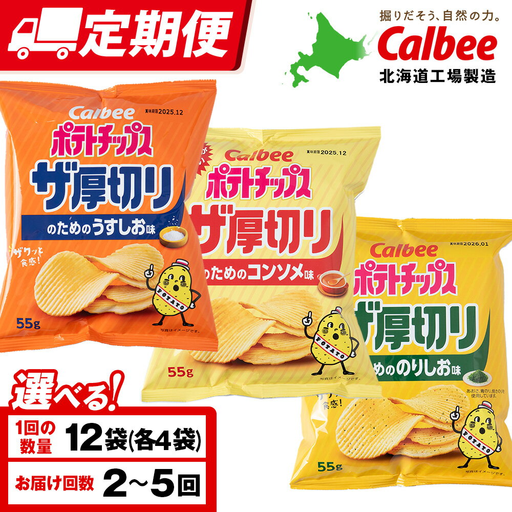 【ふるさと納税】【選べる定期便】ザ厚切りのための 3種セット うすしお・コンソメ・のりしお 各4袋 カルビー ポテトチップス 《千歳工場製造》スナック お菓子 北海道 千歳 ポテチ ポテトチップス 北海道ふるさと納税 千歳市 ふるさと納税 ギフト ふるさと納税