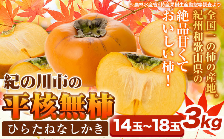 
            柿【先行予約】平核無柿 約3kg (14~18玉) こだまファーム《9月中旬-11月中旬頃出荷》 和歌山県 紀の川市 柿 カキ かき 果物 フルーツ 送料無料
          