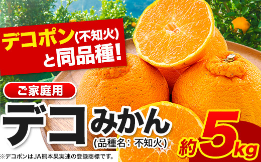 不知火 デコみかん ( デコポン と同品種 ) 不知火 ご家庭用 熊本県産 ( 荒尾市産含む ) 訳あり 約 5kg (12-24玉前後) 《4月下旬-5月末頃出荷》 柑橘 みかん フルーツ 不知火 先行予約 訳あり 訳アリ でこみかん 果物