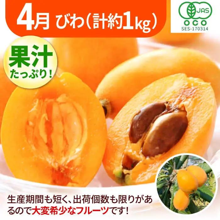 【先行予約2027年4月発送開始】【3回定期便】フルーツ定期便（びわ/ぶどう/シャインマスカット）果物 [AFAB025] 