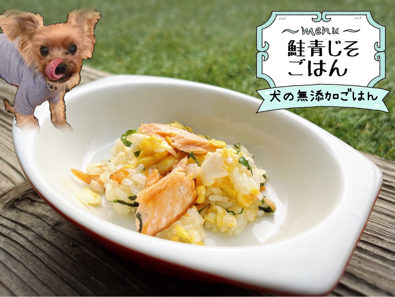 
FB156_犬の無添加手づくりごはん☆鮭青じそごはん
