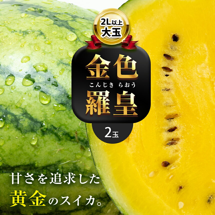 【ふるさと納税】 大玉 スイカ 金色羅皇 2玉 『 かめまる食堂 』 先行予約 | 玉名 熊本 黄色 熊本県 すいか 果物 フルーツ 西瓜 くまもと産 甘い