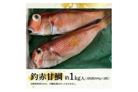 『釣赤甘鯛 Ａ』【 魚 魚介 魚介類 鮮魚 さかな 日向灘 魚介 魚介類 赤甘鯛 九州 宮崎 川南町 新鮮 魚介 海の幸  魚介類 甘鯛 たい 送料無料 魚介 魚介類 】