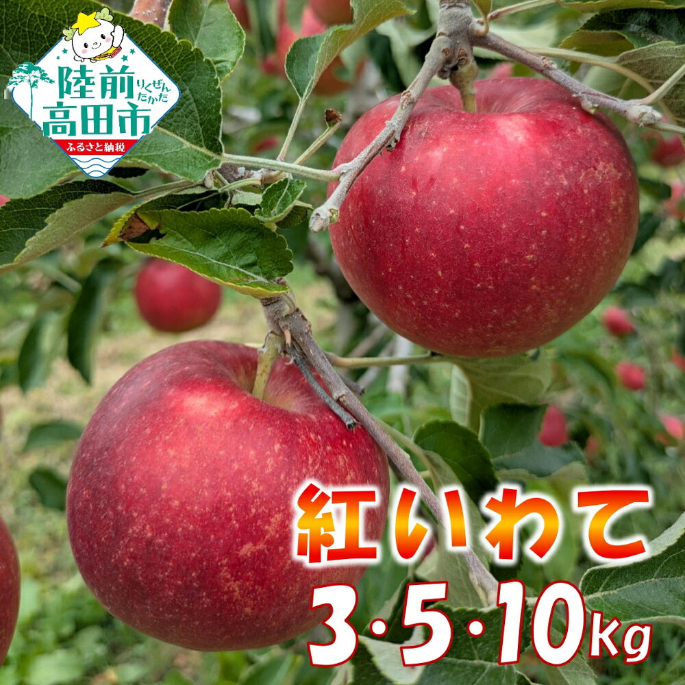 【ふるさと納税】先行予約 りんご 紅いわて 内容量が選べる 3kg 5kg 10kg 岩手県オリジナル品種 [ 米崎りんご リンゴ 林檎 旬 果物 フルーツ 期間限定 数量限定 人気 おすすめ お取り寄せ 甘い もぎたて 家庭用 訳あり ジャム アップルパイ 国産 岩手 陸前高田 ]