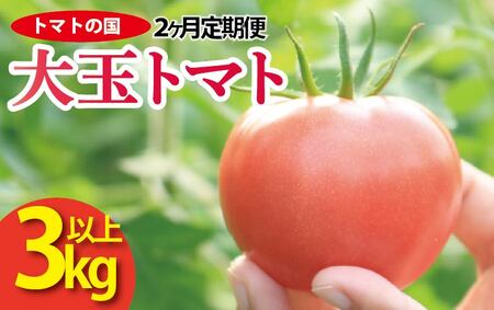 トマト 大玉 3kg 2カ月 定期便 大玉トマト サラダ トマトの国  トマト トマト トマト