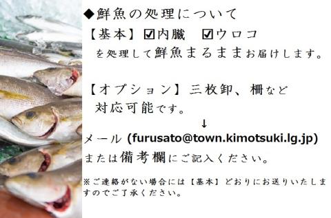 魚屋さんの選んだ新鮮お魚詰め合わせ（約6〜8人分）