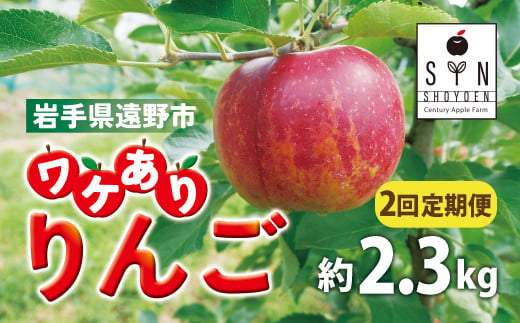 訳あり りんご 定期便 2回（約2.3kg） / 岩手県 遠野市 産 松陽園 11-12月 発送 10月31日受付終了