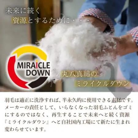 羽毛掛け布団 シングル 150×210cm 0.2kg リサイクル羽毛 75% アイボリー 無地【1739815】