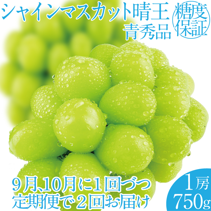 2025年 先行予約受付中【2回定期便】シャインマスカット晴王1房 約750g 岡山県産 種無し 皮ごと食べる みずみずしい 甘い フレッシュ 瀬戸内 晴れの国 おかやま 果物大国 ハレノフルーツ