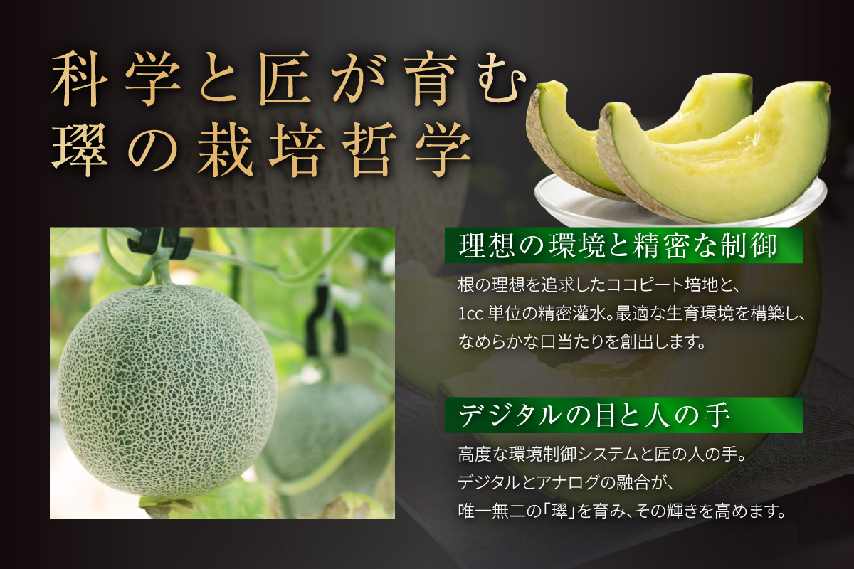 【先行予約】養液栽培メロン「璻」1玉【Standard】（糖度12度以上、重さ1.3㎏以上）│メロン めろん 果物 フルーツ 高級 旬 お取り寄せ 青肉 ご褒美 グルメ 璻 甘い 愛知県 常滑市