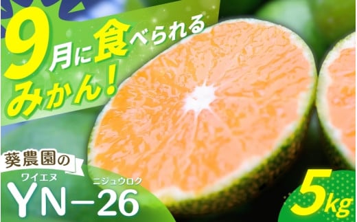 ＼先行予約／ 極早生みかん YN-26 【秀品】 5kg（サイズ混合） ※2025年9月より順次発送 / みかん ミカン 蜜柑 和歌山 早生 極早生 YN-26 温州 田辺市 紀州 くだもの 柑橘 フルーツ 【aoi002-1】