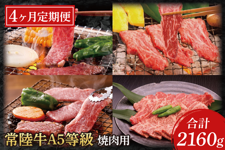 【4ヶ月定期便】常陸牛A5等級　焼肉用（もも肉・ヒレ肉・ロース肉・ランプ肉）（AC020）