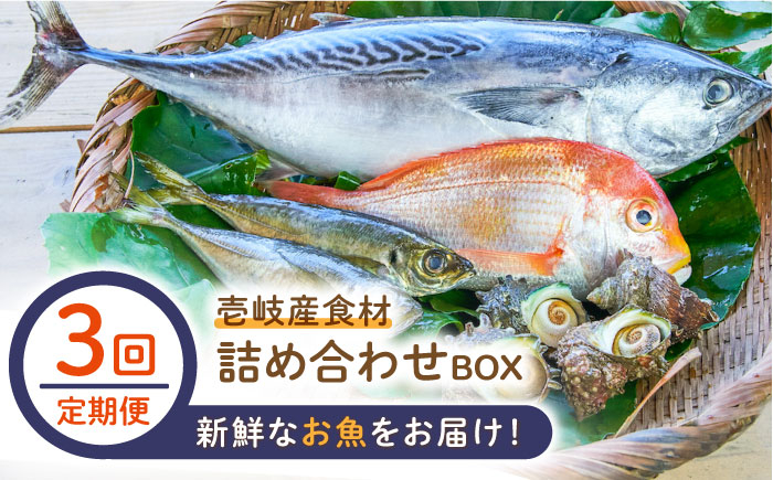 
【全3回定期便】壱岐産食材詰め合わせBOX「魚」 [JBF021] 66000 66000円 6万円
