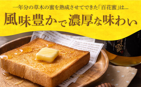 対馬 和蜂 はちみつ 600g×2 《対馬市》【特定非営利活動法人 對馬次世代協議会（対馬コノソレ）】 蜂蜜 ハチミツ 日本ミツバチ 二ホンミツバチ[WAM030]