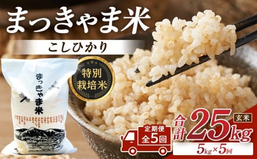 
            米 （毎月／全5回）【玄米】定期便　特別栽培米 石川県産こしひかり棚田米”まっきゃま米”   | 金沢市 お米 こめ 白米 食品 米 コシヒカリ ふるさと納税 米通販 高級米 国産米 ブランド米 日本米 新米 玄米 産地直送 米ギフト 米料理 用途別米 米食文化 米農家 特別栽培米 米品種 米品質 米栽培技術 食感良好米
          