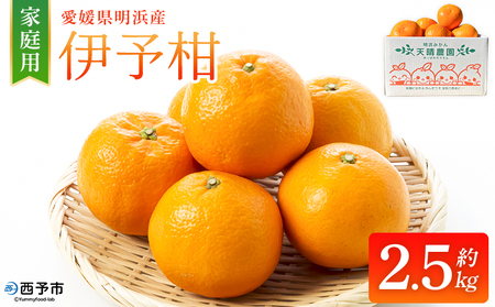 ＜伊予柑 家庭用 約2.5kg＞ご家庭用 いよかん イヨカン みかん 蜜柑 柑橘 訳あり 果物 くだもの フルーツ ミカン 愛媛 国産 2.5キロ ジューシー 明浜 特産品 笑丸 愛媛県 西予市【常温】『2026年1月下旬より順次出荷予定』AAN0073