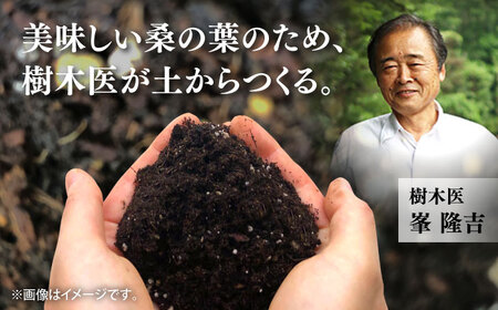 樹木医が育てた桑の葉茶（粉末）50g×1袋【株式会社 峯樹木園】[AYBM014]