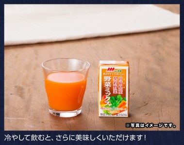 『Oh！宮崎　野菜ミックス』125ml×48本セット【野菜飲料 野菜ジュース ミックスジュース 飲料類 セット ジュース ソフトドリンク】