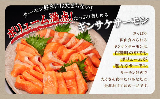 ギンサケサーモン【1.6kg】 小分け 下処理不要 絶品の「塩締め」レシピ ふるさと納税 海鮮 サーモン 鮭 魚 銀鮭 刺身 生食用 さけ サケ ふるさと ランキング 人気 魚介類 魚介 北海道 白糠