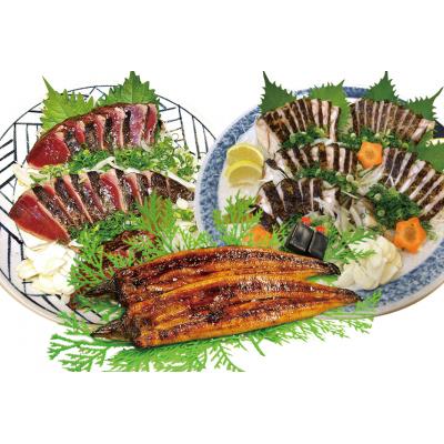 ふるさと納税 高知県 かつお・うつぼ・うなぎ食べ比べセット【E06003】