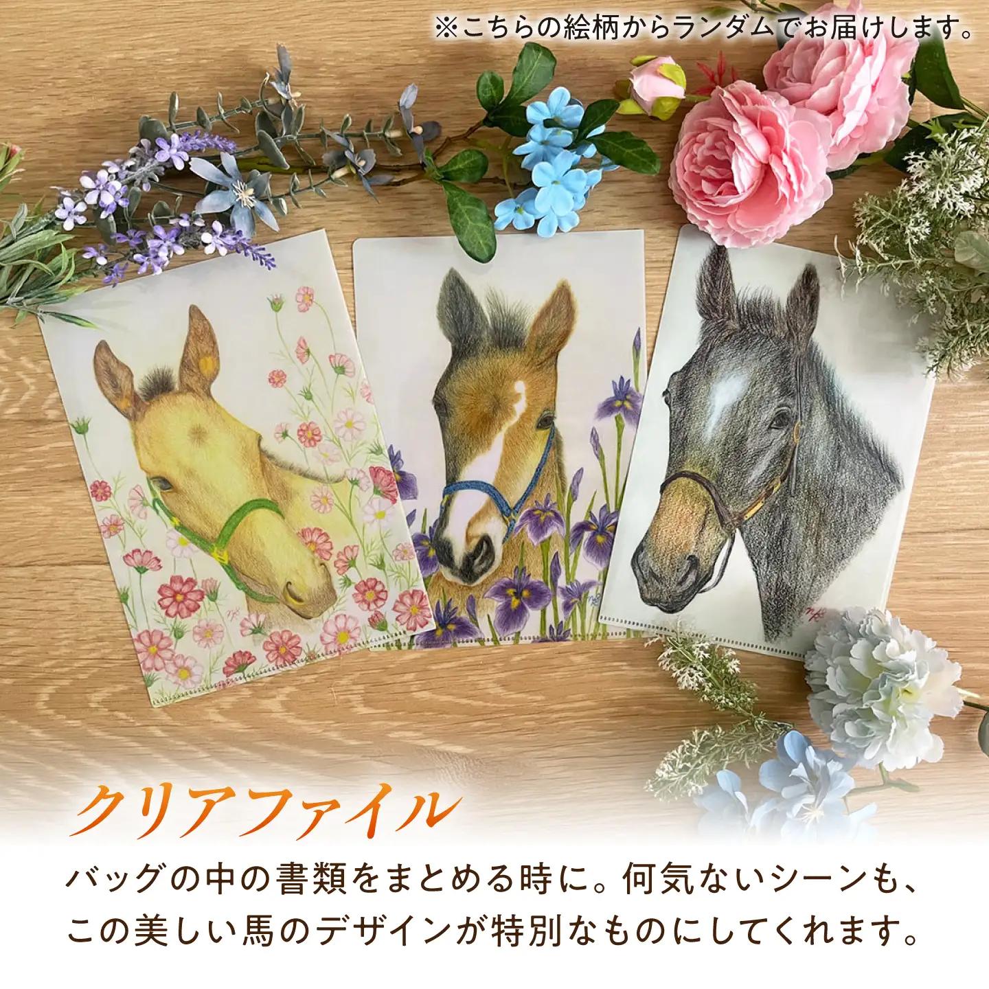 メモ帳 馬と花のステーショナリーセットB BIBN002 メモ帳