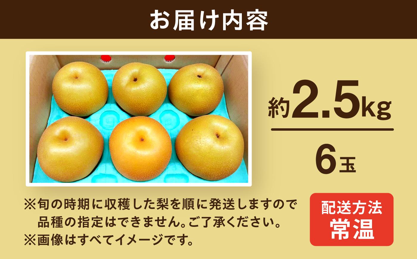 長崎県産 朝採り旬の梨 約2.5kg 6玉 大村市 産直松吉/梨 なし 幸水 豊水 秋麗 あきづき 新高 20世紀 二十世紀 かんた [ACZC011]