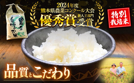 【先行予約】 【令和7年度】 くまさんの輝き 白米 5kg (1袋) （2025年10月下旬ごろ順次発送） 【坂本農園】[AYCC021]
