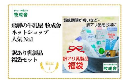 牧成舎  ”何が届くかお楽しみ！”  福袋  | 訳あり 乳製品 ギフト 詰め合わせ  乳製品 DF005　FN-Limited-PR