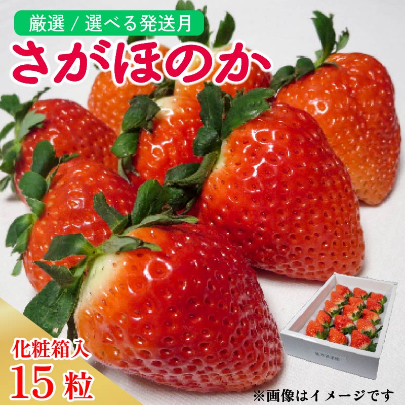 【ふるさと納税】 いちご 大粒 15粒 さがほのか 約420g 化粧箱 発送時期が選べる 2025年1月 2月 3月 発送 苺 ストロベリー 果物 フルーツ ケーキ フルーツサンド いちご大福 ジャム 甘い 人気 おすすめ お取り寄せ グルメ 贈答 ギフト 先行予約 徳島県 阿波市 春風果園