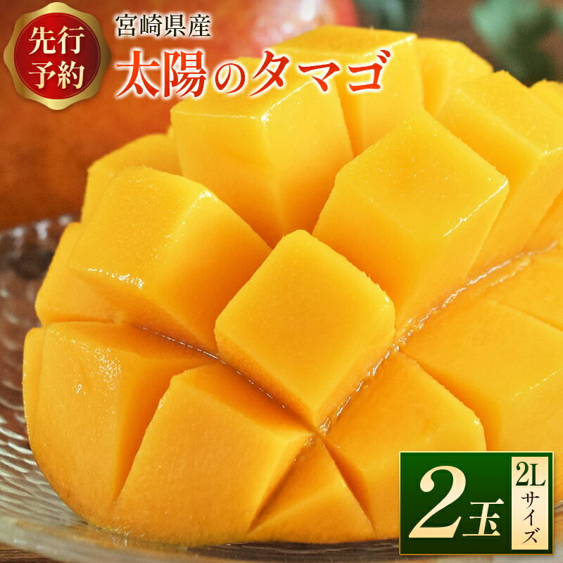 【ふるさと納税】＜数量限定＞完熟マンゴー「太陽のタマゴ」2Lサイズ 2玉 宮崎県産 先行予約 ブランド フルーツ 果物 ギフト