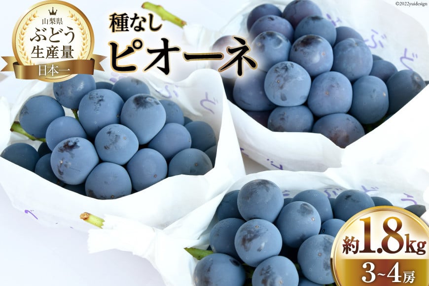 
                  【2025年発送】ぶどう 先行受付  種なし ピオーネ 計 1.8kg程度 3〜4房 山梨 やまなし 1.8キロ 期間限定 季節限定 産地直送 山梨県産ぶどう ブドウ 葡萄 種無し たねなし 果物 くだもの フルーツ[梨北農業協同組合 山梨県 韮崎市 20743013]
                