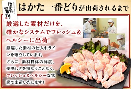 ふるさと納税 はかた一番どり 手羽元 4500g 合計4.5kg 約300g×15パック《30日以内に出荷予定(土日祝除く)》 大容量 鶏肉 鳥肉 冷凍 送料無料 株式会社あらい