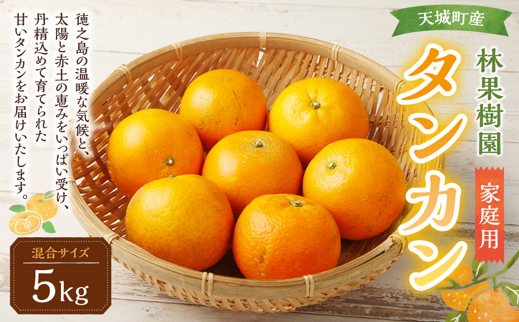 
                  【鹿児島天城町】林果樹園 徳之島産 タンカン【ご家庭用】混合サイズ 5kg 柑橘 タンカン みかん AZ-1-N
                