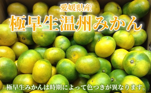 ＜愛媛産 訳あり 極早生みかん（サイズ混合）約5kg＞『2026年9月下旬から順次出荷予定』蜜柑 ミカン みかん 訳アリ ご家庭用 温州みかん 極早生 西宇和 果物 フルーツ 柑橘 国産 愛媛県産 西