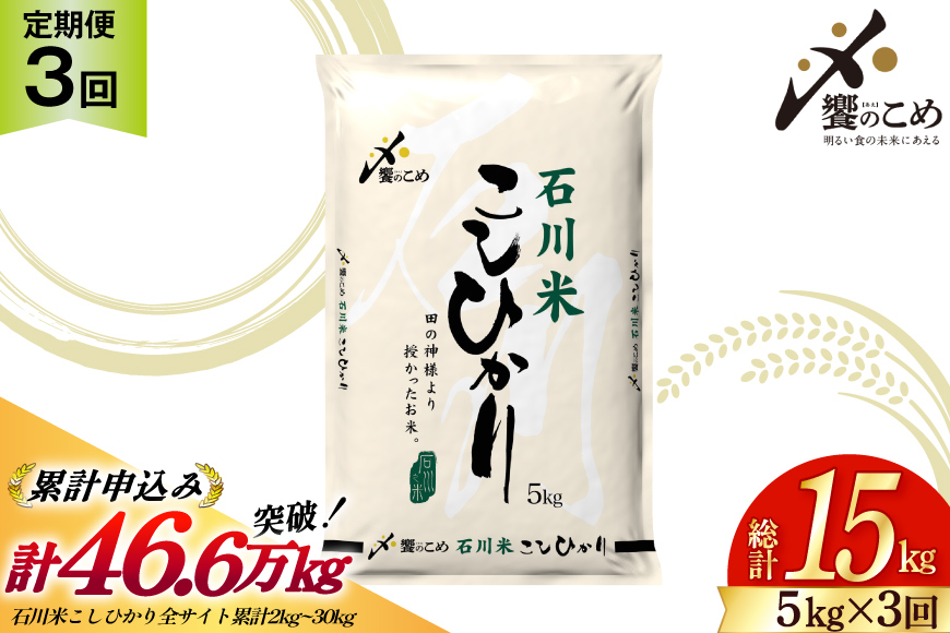 米 定期便 石川米 こしひかり 5kg 3回 計 15kg [中橋商事 石川県 宝達志水町 38601207] コシヒカリ お米 こめ おこめ ごはん ご飯 3ヶ月 ３ヶ月 3か月 ３か月 5キロ ５キロ 白米 精米 石川 石川県産
