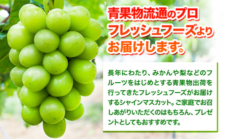【先行予約】シャインマスカット 2kg(3~5房) フレッシュフーズ 《8月上旬-9月上旬頃出荷》熊本県産(荒尾市産) 柑橘 フルーツ フレッシュフーズ シャインマスカット 果物 美味しいシャインマス